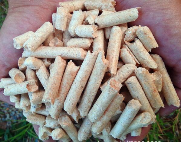 生物质燃料午夜福利大片械