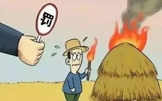 生物质午夜福利大片械
