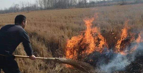 生物质午夜福利大片械