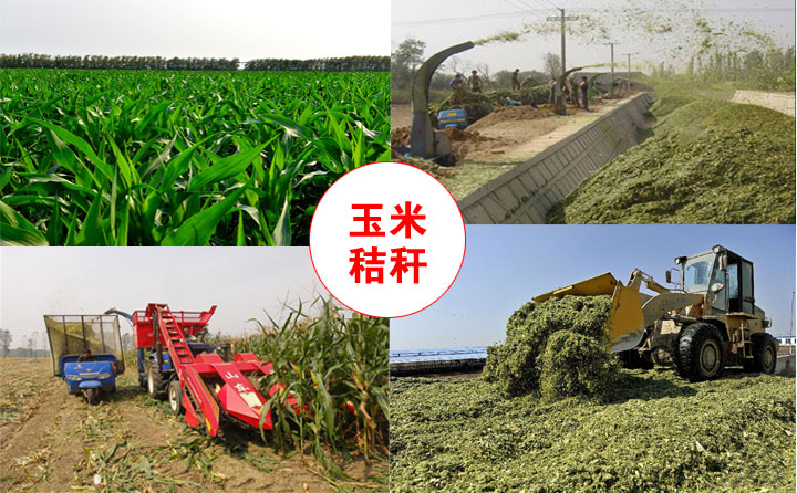 生物质午夜福利大片械