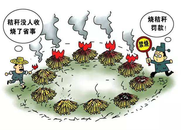 生物质午夜福利大片械