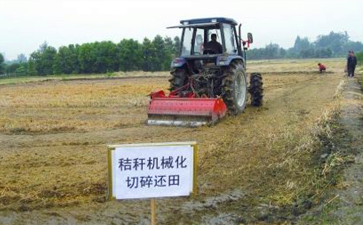 秸秆还田让“地越种越肥、产值越来越高”