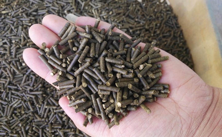 生物质燃料午夜福利大片加工颗粒燃料