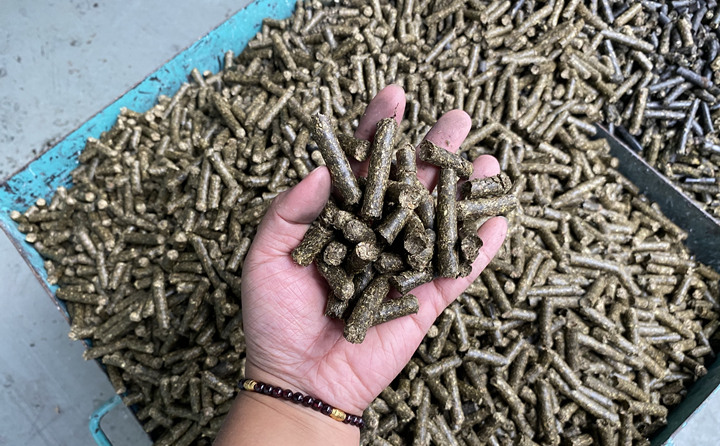 生物质午夜福利大片加工的颗粒燃料