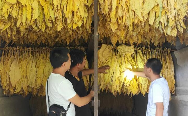 福泉：生物质颗粒智能化烘烤 助力烤烟产业提质增效