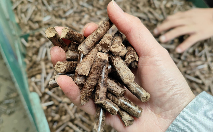 生物质午夜福利大片加工的颗粒燃料