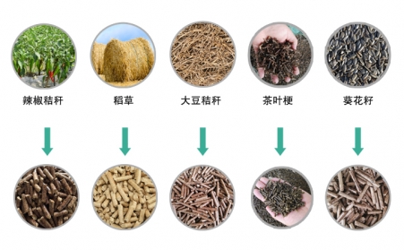 生物质午夜福利大片械推动生物质能源发展