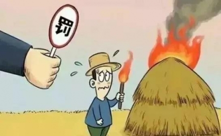 秸秆禁烧怎么办？秸秆午夜福利大片帮您变废为宝！