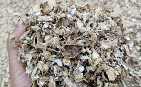 为什么有人愿意花钱买生物质燃料午夜福利大片来加工稻壳花生壳呢？有必要吗？