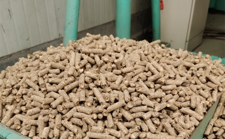 2021阳信清洁取暖1万多户全部使用生物质午夜福利大片的燃料颗粒