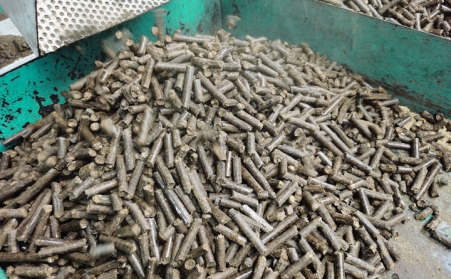关于生物质午夜福利大片燃料的2个事