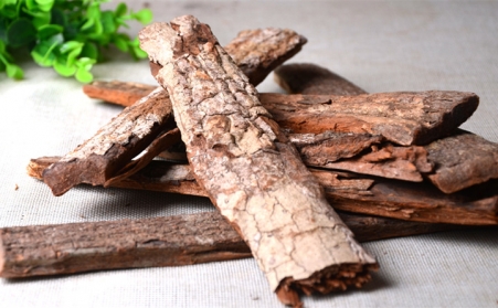 深入！为什么欧洲需要依靠可持续的生物能源