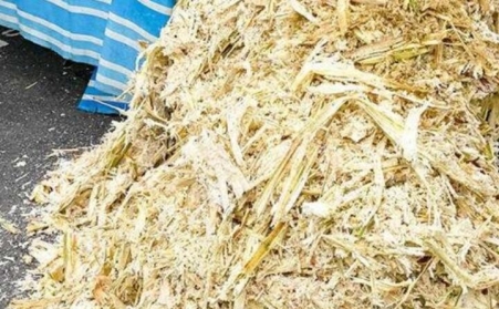 甘蔗渣想废物利用？可以考虑生物质午夜福利大片！