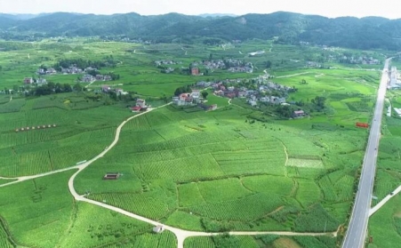 福泉：生物质颗粒智能化烘烤 助力烤烟产业提质增效