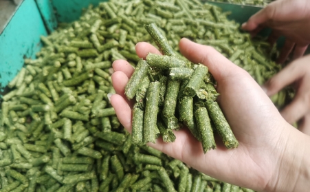 河南支持生物质能等可再生能源替代，助力实现碳达峰碳中和目标