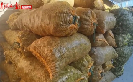 青海海东乐都：生物质颗粒燃料燃起乡村振兴新希望