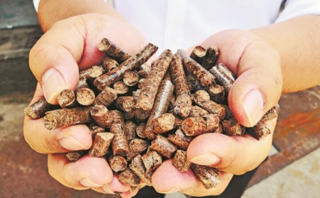 推广生物质燃料利用，农林业废弃物变成“宝贝疙瘩”