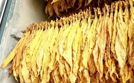湖北省十堰市竹溪桃源乡：生物质燃料运输正当时